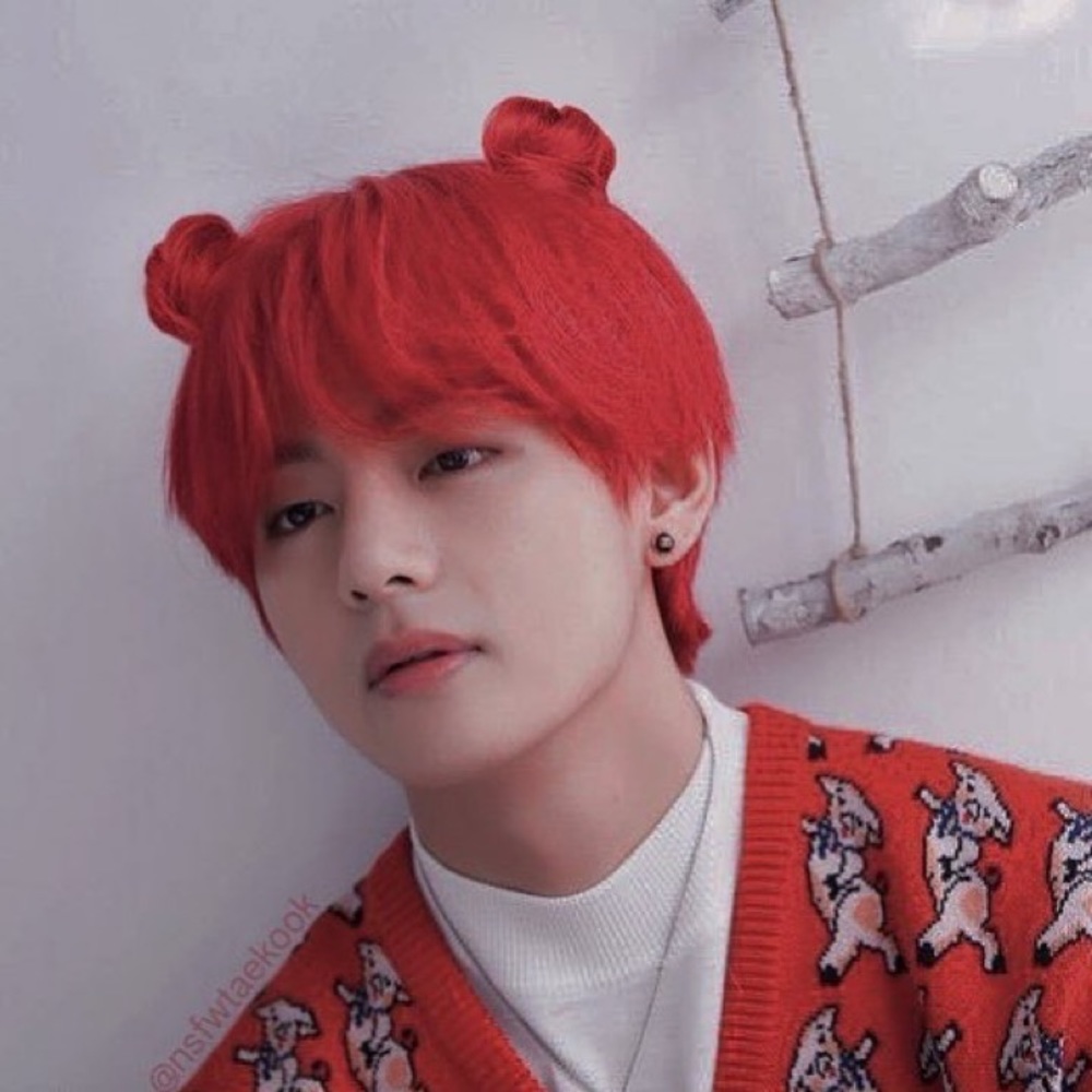 Meet your Posher, Josephine